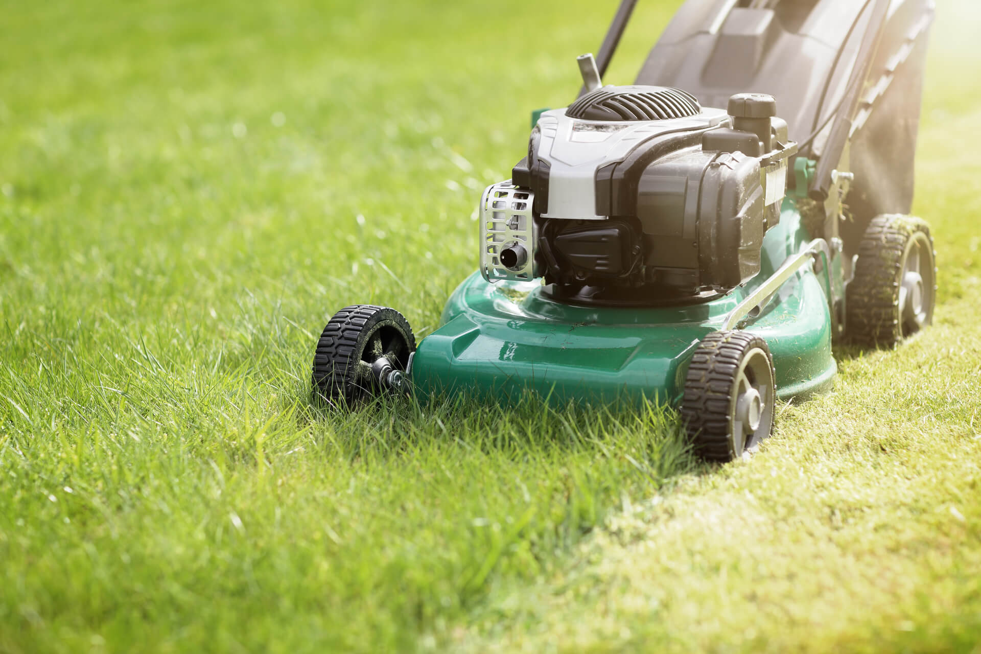Taglio erba e manutenzione spazi verde in azienda e residenziale