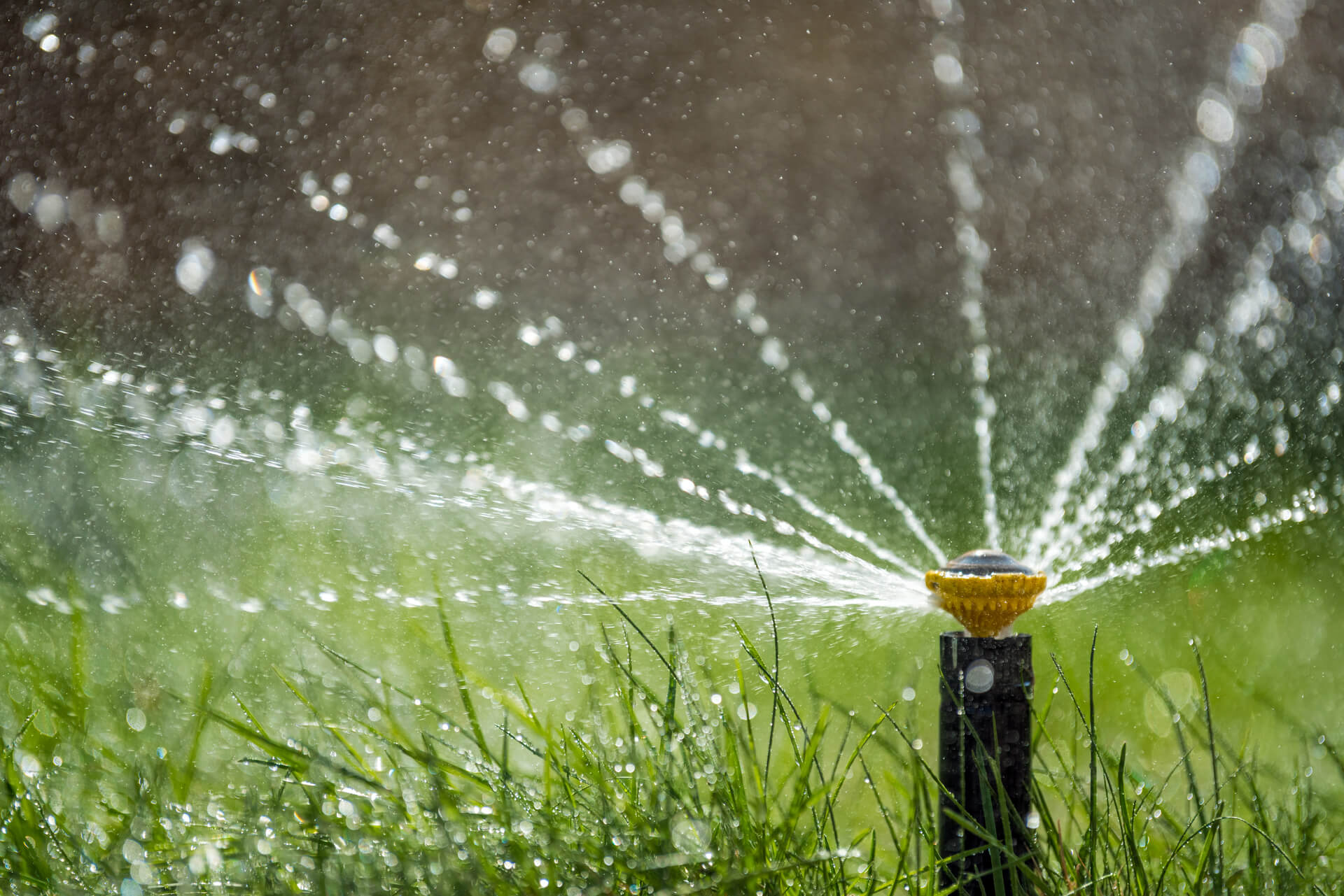 Realizzazione e sistemazione di giardini e impianti di irrigazione